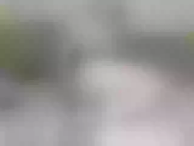 Live sex webcam photo for Mallinia #287955509