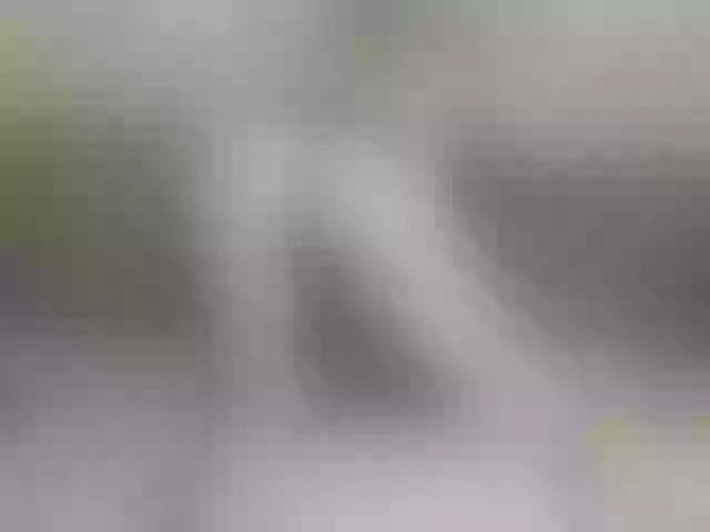 Live sex webcam photo for Mallinia #287955512