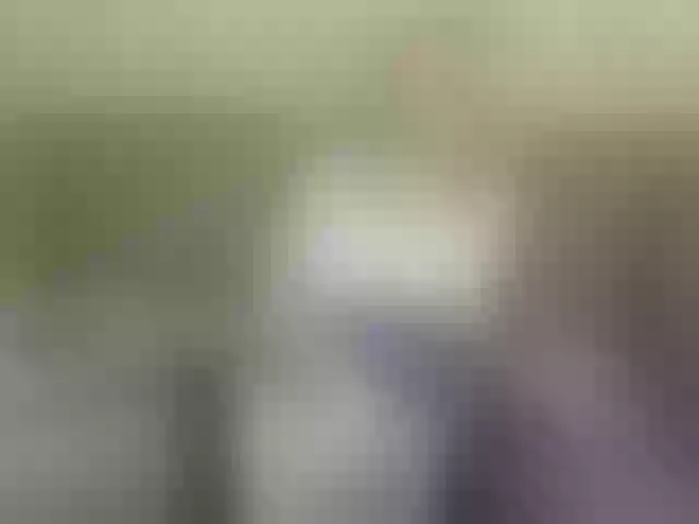 Live sex webcam photo for Mallinia #287955524