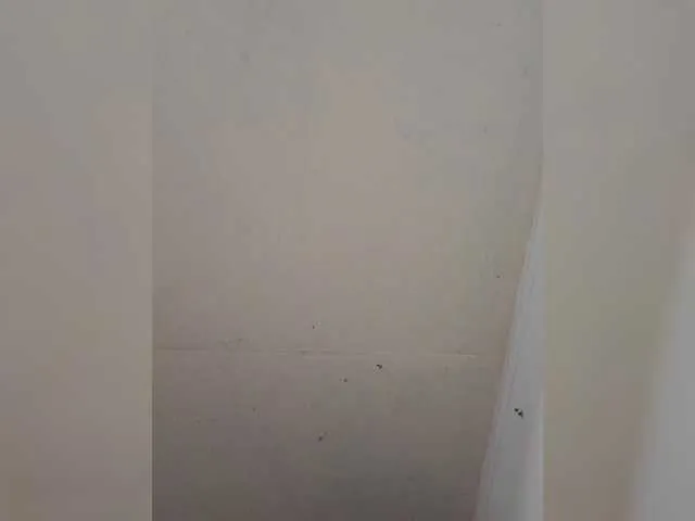 Live sex webcam photo for Manamy #290630793