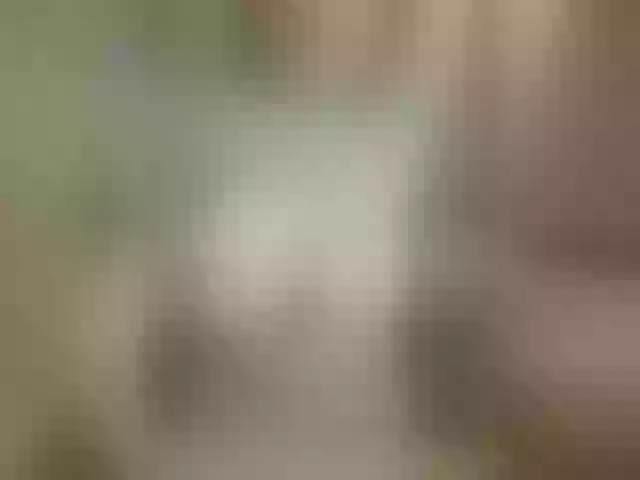 Live sex webcam photo for Mandarinka8 #291353902