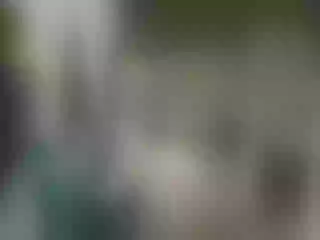 Live sex webcam photo for Mandarinka8 #291964554