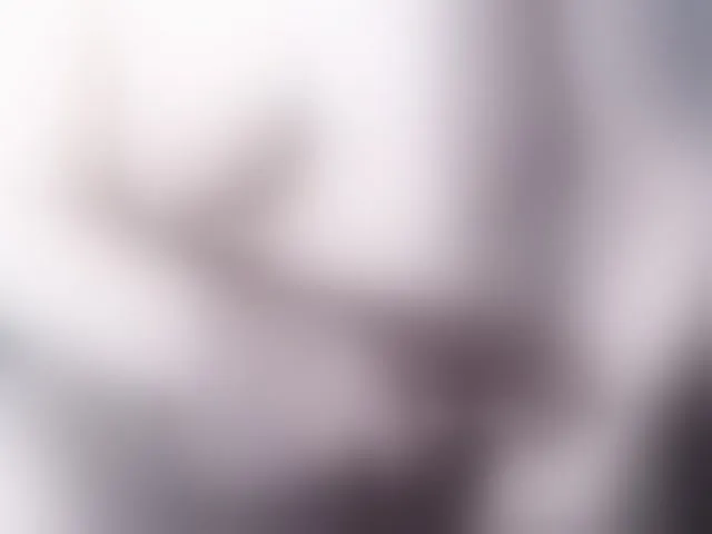 Live sex webcam photo for MannmitSchwanz #293027133