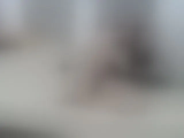 Live sex webcam photo for MargothClain #276209366