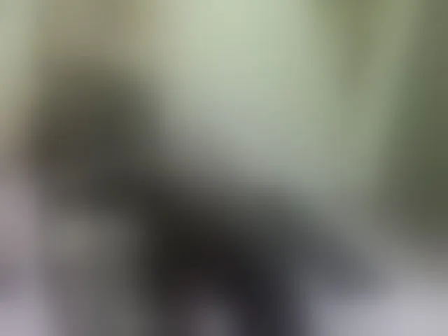 Live sex webcam photo for MargothClain #277036926
