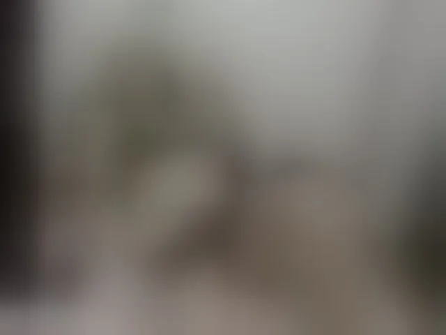 Live sex webcam photo for MargothClain #277327067