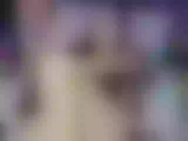 Live sex webcam photo for MargothClain #290298860