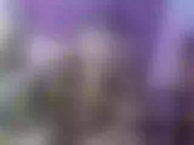Live sex webcam photo for MargothClain #291943795