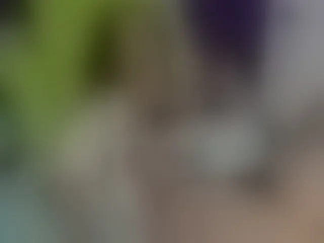 Live sex webcam photo for MargothClain #293829183