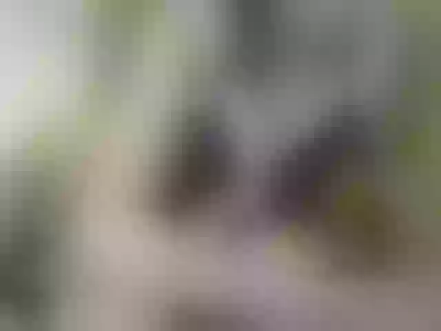 Live sex webcam photo for MariaLeteciaFilipina #292168885