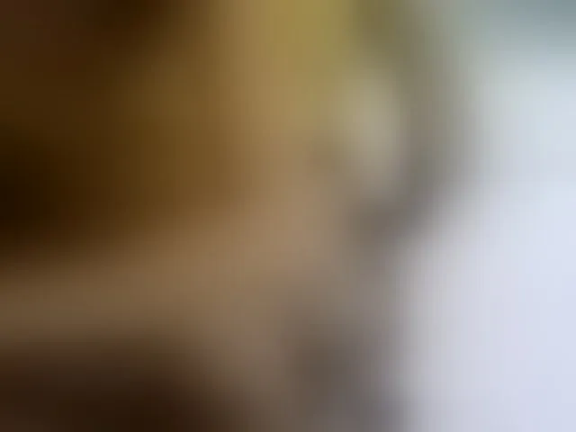 Live sex webcam photo for MariaLeteciaFilipina #292593285