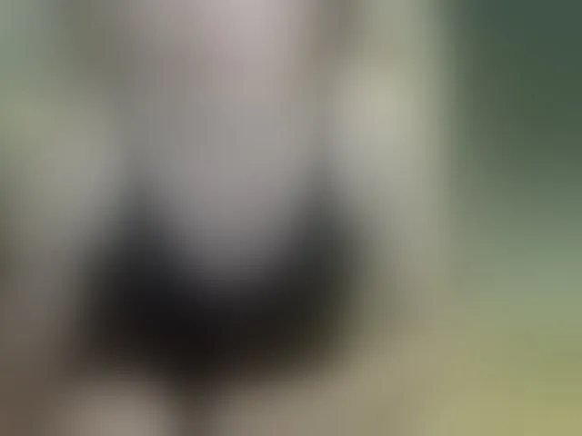 Live sex webcam photo for MariaLeteciaFilipina #292640975