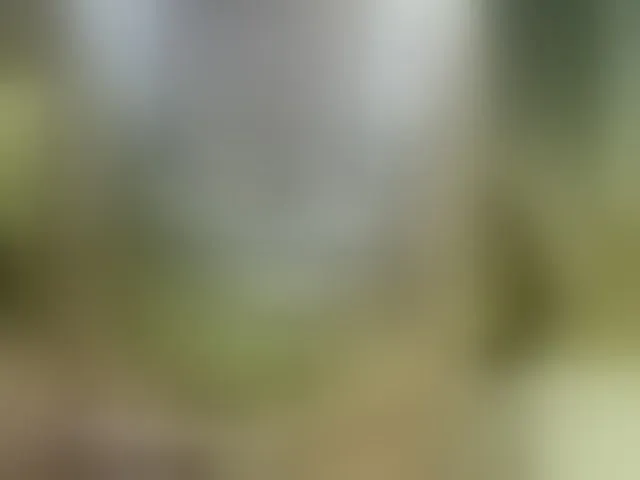 Live sex webcam photo for MariaLeteciaFilipina #292646508