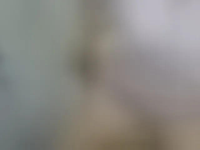 Live sex webcam photo for MariaLeteciaFilipina #293069390
