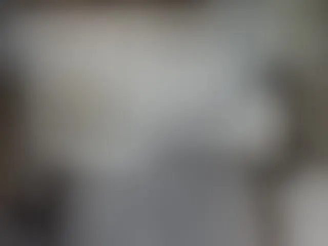 Live sex webcam photo for MariaLeteciaFilipina #293279904