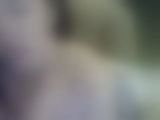 Live sex webcam photo for MariaLeteciaFilipina #293420423