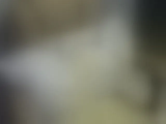 Live sex webcam photo for MariaLeteciaFilipina #293437346