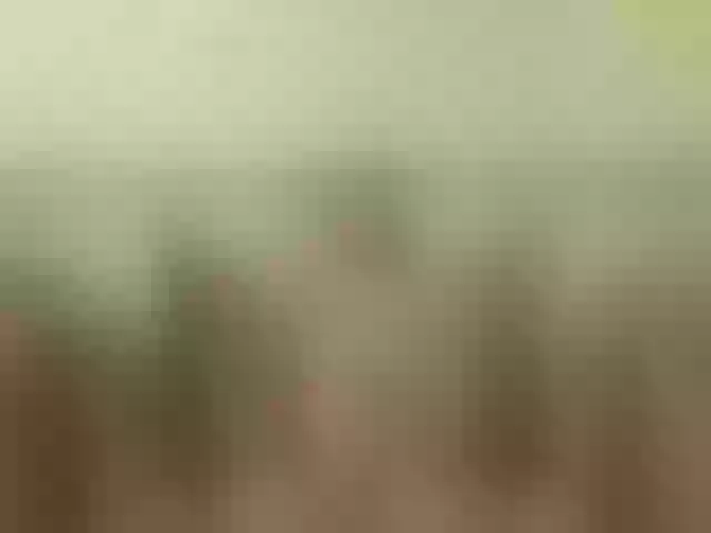 Live sex webcam photo for Mariabo #276943046