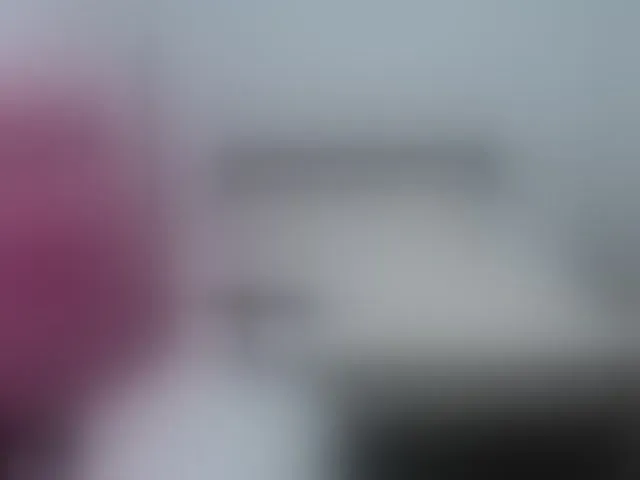 Live sex webcam photo for Mariahelena #293268160
