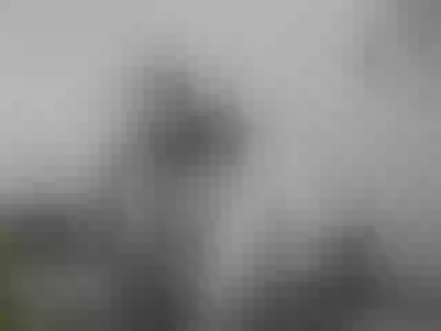 Live sex webcam photo for Mariam-wish #291716299