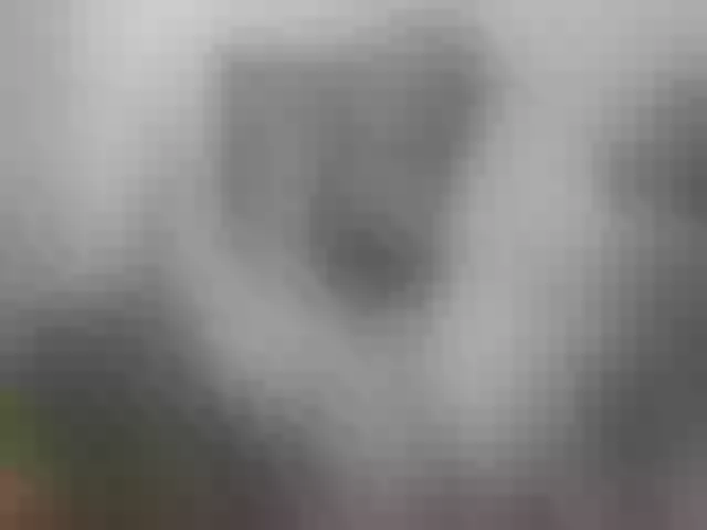 Live sex webcam photo for Mariam-wish #291755786