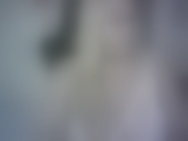 Live sex webcam photo for Mariana0x #294239787