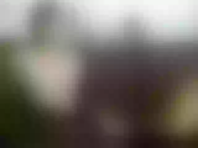 Live sex webcam photo for Marianaandlian #291239685
