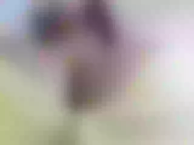Live sex webcam photo for Marianadeepthoat #292198002