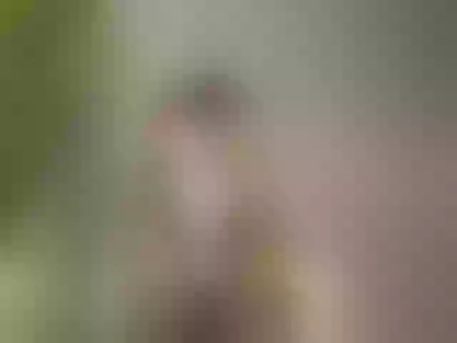 Live sex webcam photo for Maribett #291888097