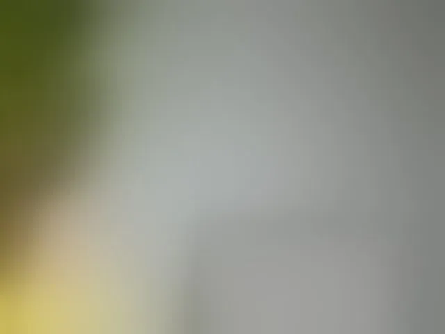 Live sex webcam photo for Maribett #292467994