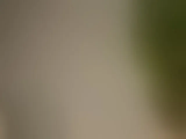 Live sex webcam photo for Maribett #293847927