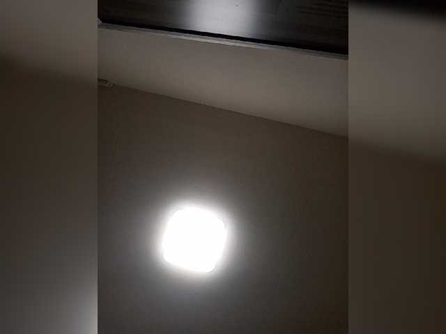 Live sex webcam photo for Marielulu1 #272529128