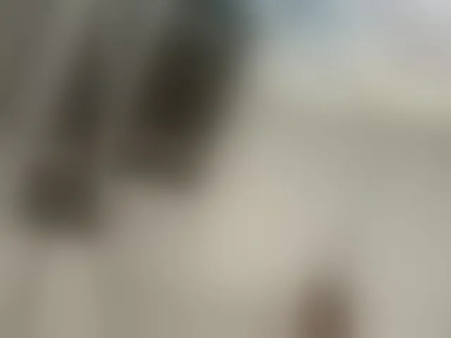 Live sex webcam photo for MarilynStone #293619825