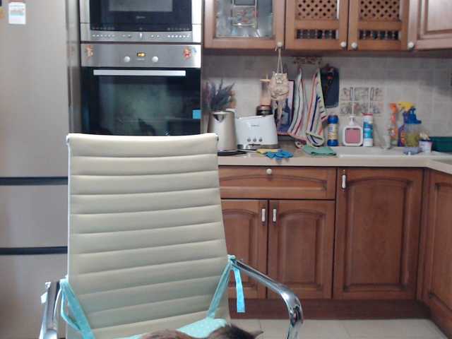 Live sex webcam photo for Marionaa #291337874