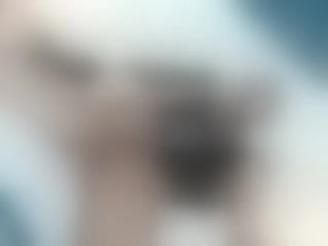 Live sex webcam photo for MarksKlein #290413432