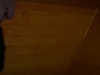 Live sex webcam photo for Markyellow #231318832