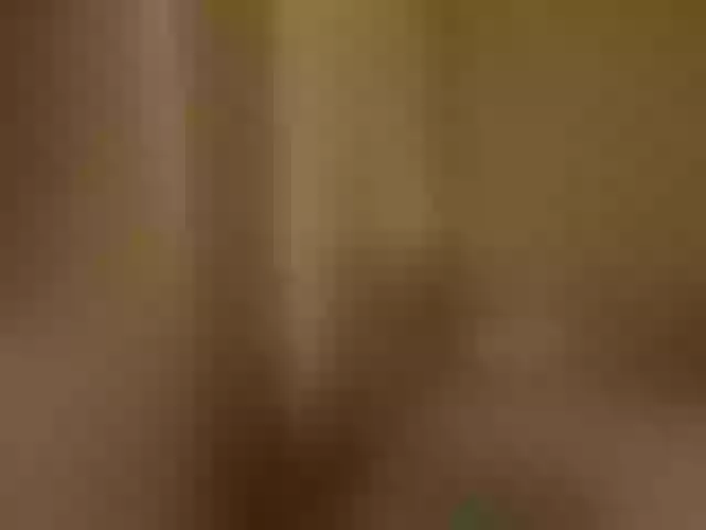 Live sex webcam photo for Marsellyna #291946563