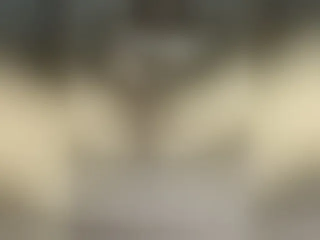 Live sex webcam photo for Marshmello4 #293735362