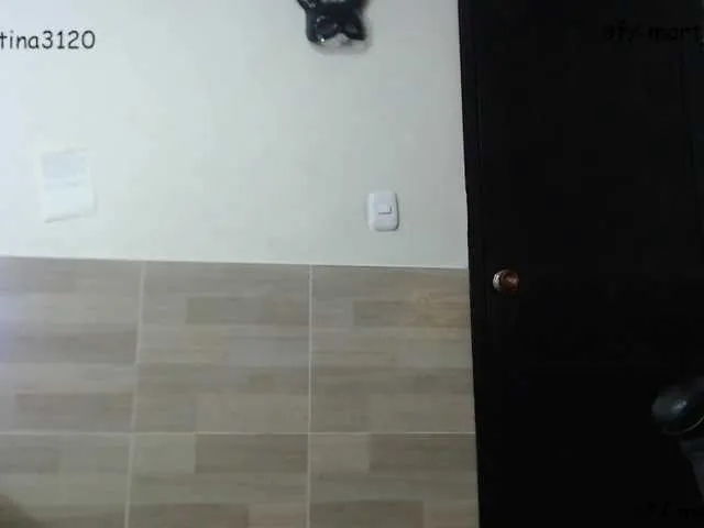 Live sex webcam photo for Martina1369 #291170428