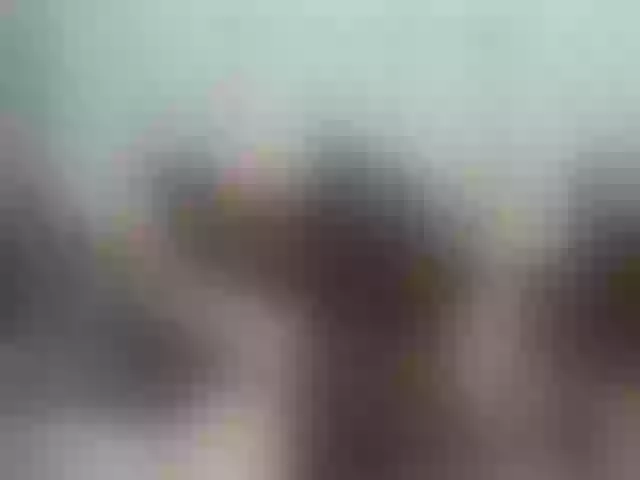 Live sex webcam photo for MaryPet #291497351
