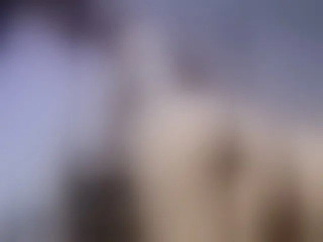 Live sex webcam photo for MaryannG #293499650