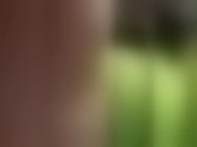 Live sex webcam photo for MarysiaXXX #277141469