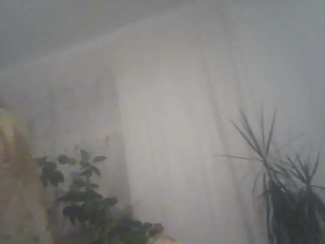 Live sex webcam photo for Masha59 #276089753