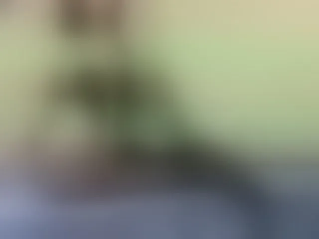 Live sex webcam photo for MashaWoW #293211969
