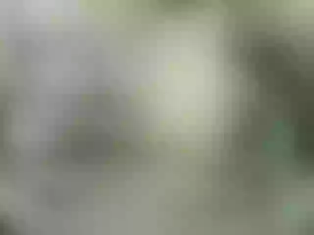 Live sex webcam photo for Mashulya29 #291124860