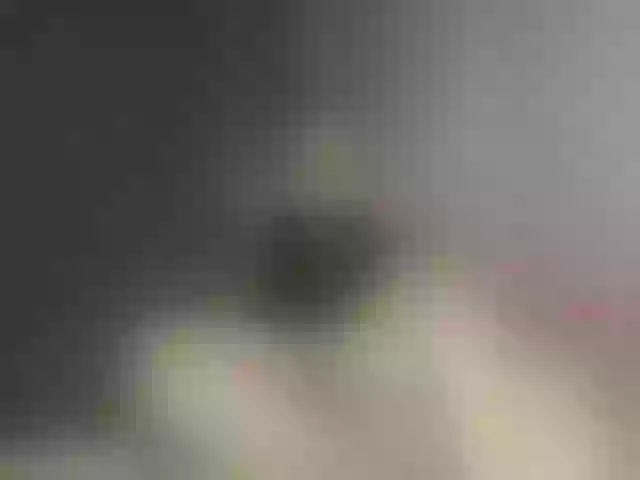 Live sex webcam photo for Masia-1 #291559323