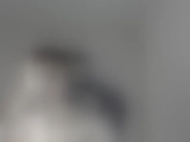 Live sex webcam photo for MasonWarholl #293857667
