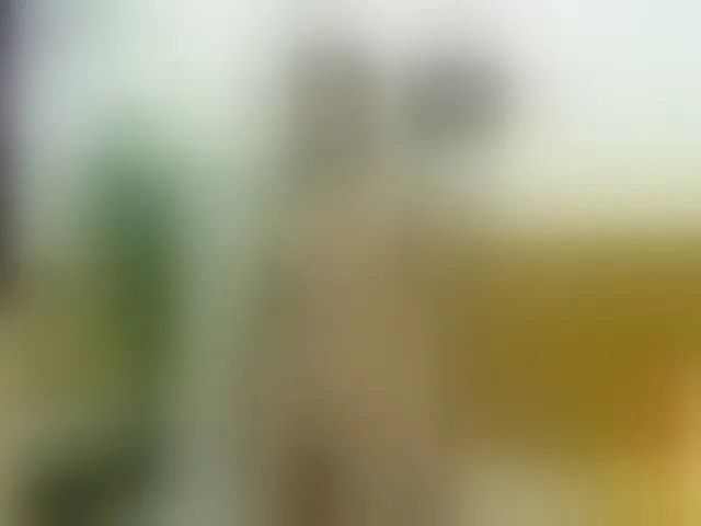 Live sex webcam photo for Matt-Austin #273535630