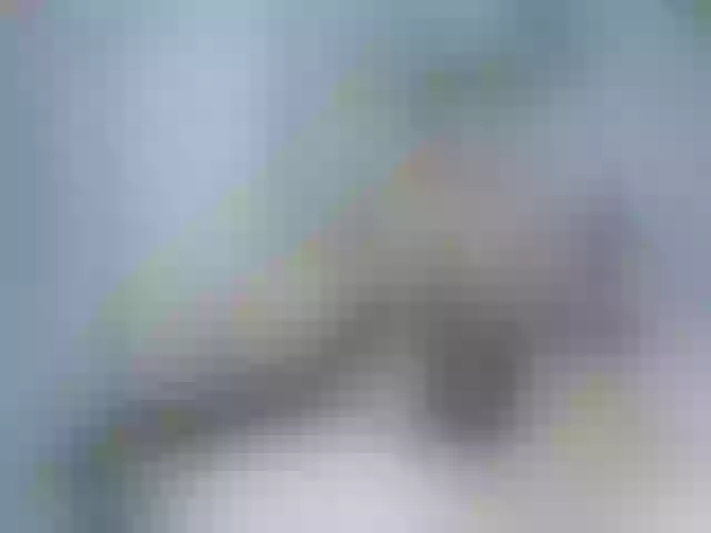 Live sex webcam photo for Matty-Adams #290952948