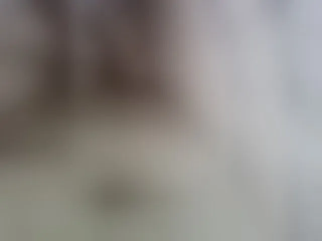 Live sex webcam photo for Max-1990-1 #293852521